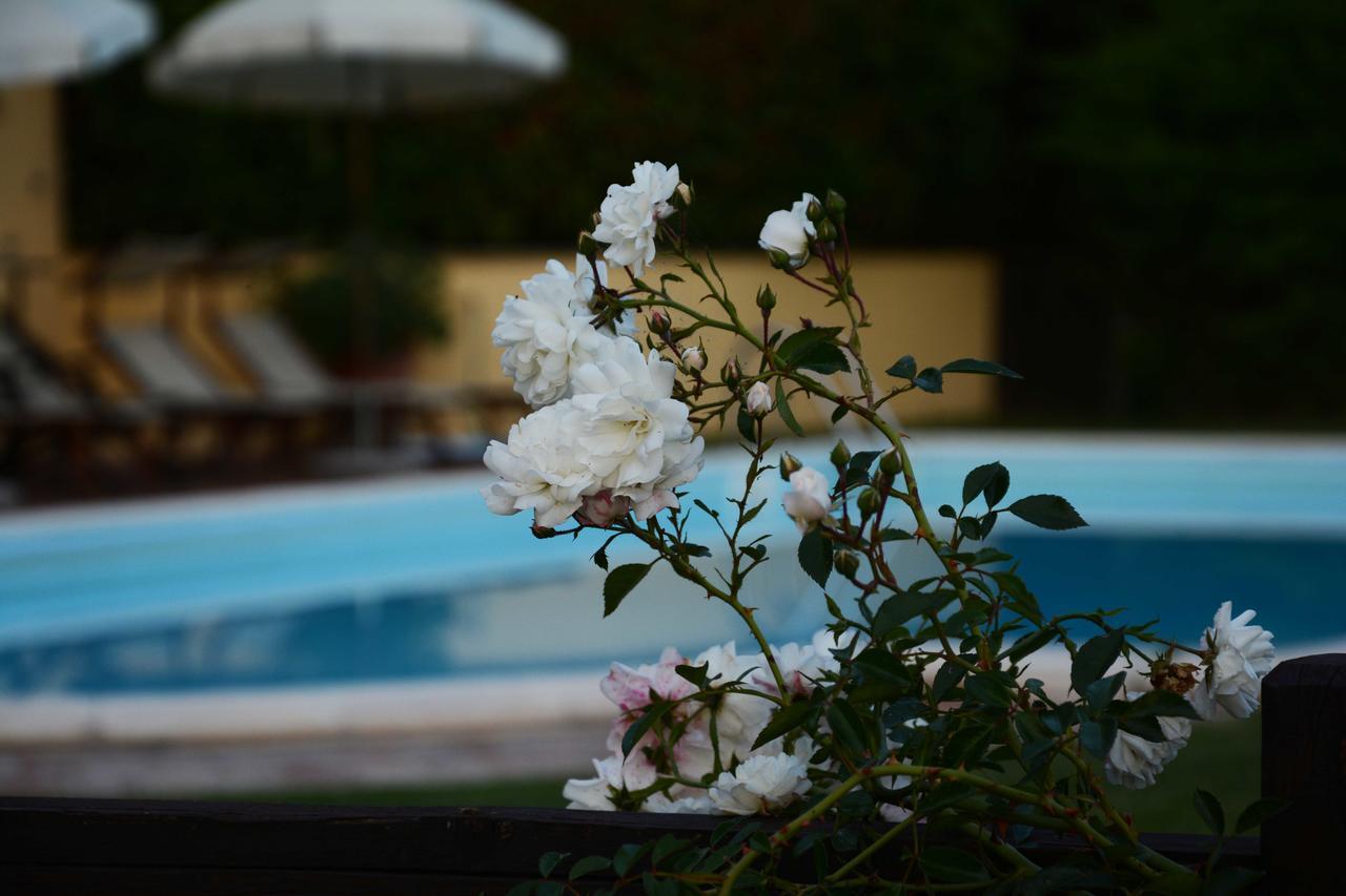 Il Poggiolo Di Parrano ξενώνας Εξωτερικό φωτογραφία
